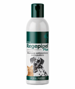 REGEPIPEL PLUS SHAMPOO ANTISEPTICO Y ANTIMICOTICO CLORHEXIDINA 2% MICONAZOL 2% USO VETERINARIO - Matriz