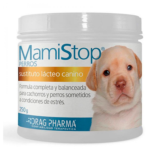 MAMISTOP SUSTITUTO LACTEO CANINO POLVO POTE 250 GR  (GRANDE)