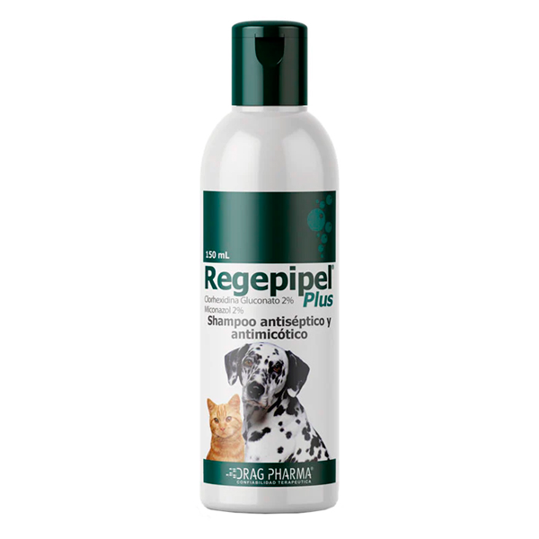 REGEPIPEL PLUS SHAMPOO ANTISEPTICO Y ANTIMICOTICO CLORHEXIDINA 2% MICONAZOL 2% USO VETERINARIO